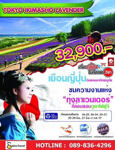 ทัวร์ญี่ปุ่น Tokyo Ikimasho Lavender 5วัน 3คืน โดยเอเชียนแอร์ - Promotion